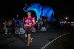 BIB: 
                            <button type="button" onclick="openModal(26551885)" class="btn btn-primary btn-sm float-right btn-popup" data-toggle="modal" data-target=".modal-high-quality">
                        <i class="fas fa-shopping-cart"></i> Add to Cart
                    </button>
                                            <button type="button" onclick="isThisMe(26551885, true)" class="btn btn-success btn-sm float-right btn-popup btn-isme hidden" data-toggle="tooltip" data-placement="bottom" title="นี่คือรูปของคุณใช่ไหม คลิกที่นี่เพื่อเอาเข้าอัลบั้ม">
                        <i class="fas fa-plus"></i> Add to album
                    </button>
                    <button type="button" onclick="isThisMe(26551885, false)" class="btn btn-warning btn-sm float-right btn-popup btn-isnotme hidden">
                        <i class="fas fa-ban"></i> Remove from album
                    </button>